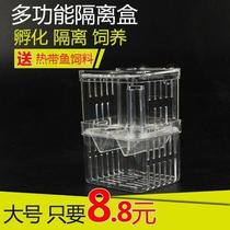New guppy breeding box fish tank isolation incubation box Tropical fish small fish special size isolation box hatching production