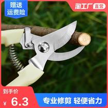 Flower and wood grafting fruit wood pliers flower arrangement pruning shears flower scissors professional green barbecue bamboo stick scissors province