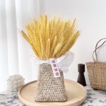 Natural wheat ear dried flower bouquet new store opened barley blessing ceremony real flower living room decoration pastoral decoration