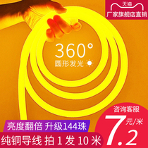 led round light strip 360 degree luminous flexible neon light highlight outdoor waterproof living room ceiling 220V hose
