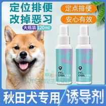 Autumn Fields Special Dogs on Toilet Inducers Targeted Defecation Training Location Training Toilet Fluid Theologie urinating to relieve the bowels