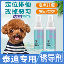 Teddy Special Dogs Upper Toilet Inducers Targeted Defecation Training Location Training Toilet Fluid Pull Poop Guide Pee Urine