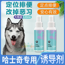 Harsedge Special Pets Guide God Instrumental Dogs Upper Toilet Inducers Targeted Defecation Training Location Training Toilet Fluid