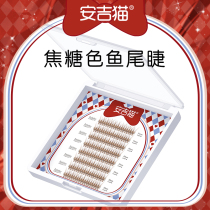 Angkit Cat (Caramel Fish Tail Eyelash) Blogger Recommended Brown False Eyelash Natural Single Tumulo Mixed Dress