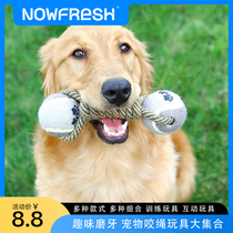 Dog toys resistant to biting and grinding teeth knots knots toys firewood dogs puppies toys small dogs toys pet toys