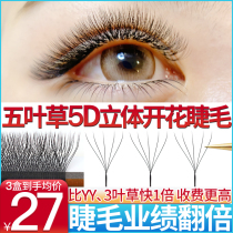 5D Five Leaves Grass Eyelash Beauty Mascara Special Three Leafy Grass Yy Type Upgrade For One Second Flowering Grafting Eyelash New