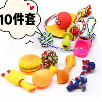 (10-piece set) dog toy set pet sound toy molar dog toy teddy cat toy