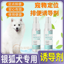 Silver foxdog special guide poo to train dog-inducing agent dog to relieve himself on toilet and defecate for toilet