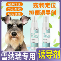 Snownery special dog-inducing agent dog defecating on the open toilet Toilet Pinpoint Defecation positioning Toilet Bowl supplies