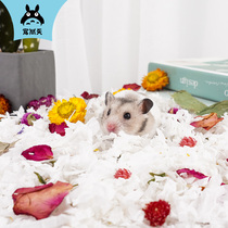 Favorite day hamster paper cotton supplies golden silk bear litter summer dust-free deodorant wood chip pad set shavings