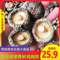 New Goods Big Thick Mushrooms Dry Goods 500 gr West Gorge No Root Dry Mushrooms Bulk Yellow Braising Chicken Commercial