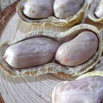 Thank you Xiong Longyan boiled white dried peanuts Salted dried five garlic salty crisp multi-flavor peanuts with shell original cooked specialty