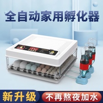 Coco Rutin Pet Chicken Incubator Chicken Incubator Small Household Fully Automatic Intelligent Waterbed Incubator