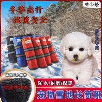 Special dog shoes for teacup dogs do not drop in winter.