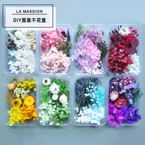 Mixed dried flower box DIY handmade candle gypsum real flower air-dried hydrangea immortal flower multi-color activity material package