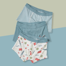 YGIGI childrens underwear pure cotton boy quad angle antibacterial shorts for boys and boys 12