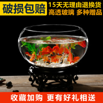 Office small fish tank transparent thick high definition glass turtle tank living room household desktop mini goldfish tank