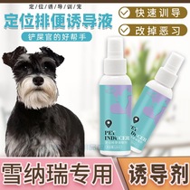 Snownery special positioning fixed point guide upper toilet training dog-inducing agent training toilet liquid uretic pet