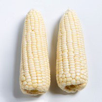 Northeast glutinous corn freshly picked non-GMO sticky sweet sticky corn cob vacuum pack 10 fat reduction meal ready-to-eat