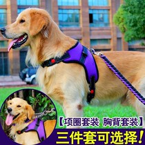 Dog leash collar shepherd dog Tibetan mastiff Labrador side golden retriever special dog rope dog chain chain-
