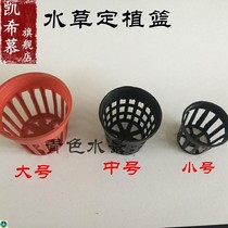 -Aquatic tank water plant planting basket water grass Cup medium-size tissue culture basin plastic basket-
