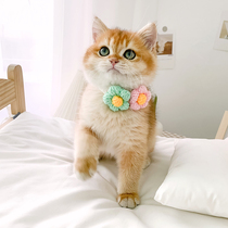 Cute flower cat collar cat collar pet collar cat jewelry collar hand knitted woven scarf dog