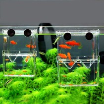 Fry incubator Small fish isolation box Isolation net isolation box Guppy tropical fish incubation box Young fry box