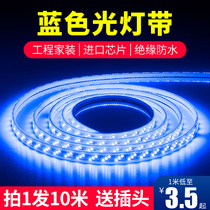 LED blue light strip 220V blue light bar super bright ceiling ceiling KTV signature light box decoration long strip light