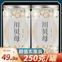 Sichuan Bulbus Fritillariae Sichuan Official Flagship Store of Traditional Chinese Medicine 250g Wild Special Grade Bulbus Fritillariae Fritillariae Fritillariae Fritillariae Fritillariae Fritillariae Fritillariae Fritillariae Fritillariae Fritillariae Fritillariae Fritillariae Fritillariae Fritillariae Fritillariae Fritillariae Fritillariae Fritillariae Fritillariae