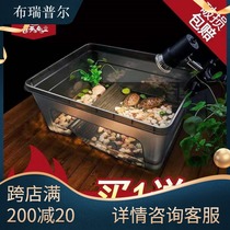 Turtle and crab special tank Amphibious pet land and water feeding box Feeding box with sun table free change of water turtle tank