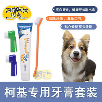 Corky special to remove bad breath calculus cleaning supplies Welsh corgi dog toothpaste for dog