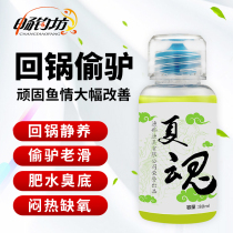 Chang Diaofang Xia Soul Heikeng wild fishing Crucian carp carp old slippery bait material fish food fishing bait small medicine fruit acid fish attractant