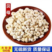 Flat Fritillaria 500g Changbai Mountain wild Chinese herbal medicine flat Fritillaria powder non-Chuan Bei Mi Bei Jian Bei