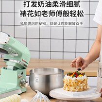 High-power whisk 500w Hand-held mixing baking and baking cream Desktop electric egg whisker whisker