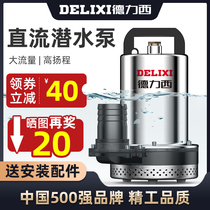 Delixi pump DC submersible pump 12V48V battery car small pump submersible pump agricultural irrigation