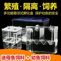 Small fish egg incubator guppies breeding box anchovies zebrafish large small separation acrylic production