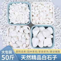 50 kg white stone natural large pebbles Courtyard paving floor decoration fish tank landscaping dry landscape grinding small stones