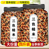 Three-color brown rice official flagship store new rice nutrition breakfast made brown rice cake with quinoa whole grain grain porridge