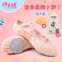 Childrens dance shoes Womens soft soles childrens ballet practice girls Chinese folk dance meat color cat claws for boys