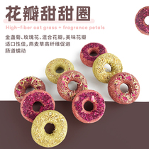 Rabbit Grindstone Grassy Cake Donuts Donut Grindles Fruit Oatmeal Pancake Rabbit Dragon Cat Dutch Pig Snacks 10 Clothes