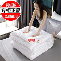 Goose down quilt Down quilt 95 white goose down winter quilt 8 pounds double spring and Autumn quilt 6 pounds quilt core student single quilt