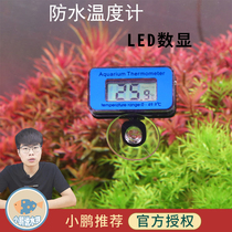 Fish tank thermometer Aquarium Special cylinder diving high-precision electronic Xiaopeng said aquarium