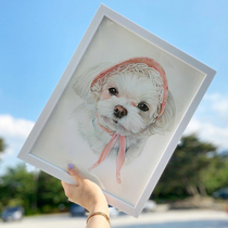 Color lead sketch pet portrait custom-made dog cat souvenir custom Meow star avatar hand-painted