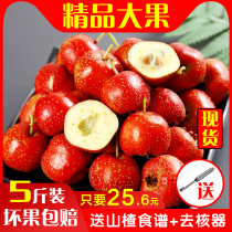 Hawthorn fruit fresh 5kg fresh fruit Hawthorn fresh fresh fruit Hawthorn Hawthorn Hawthorn wholesale