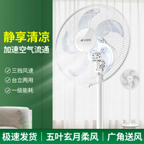 Emmett electric fan 16 inch home dormitory silent table vertical shaking head large wind FS40129 floor fan