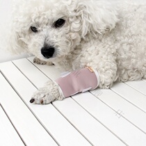Pet leg protector fixed recovery strap dog leg bracket protective cover cover protector