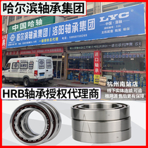 HRB Harbin Bearing 7000 7001 7002 7003 7004 7005 AC TA P5 factory