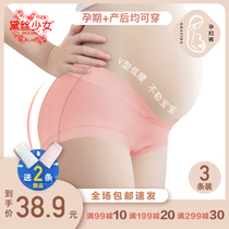 Daisy girl pregnant womens underwear Modal mid-pregnancy early pregnancy early postpartum month 3