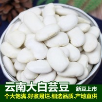 Large white kidney beans 3 catty bulk Yunnan Tenn. Great white beans farmhouse self-produced fresh white cloud beans to eat five grains of cereals
