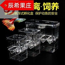 Small fish delivery room Non-acrylic incubator box Fry incubator production box Guppy breeding box isolation box protection